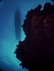 This image was taken at 106' below yesterday in Cozumel.T... by Steven Anderson 